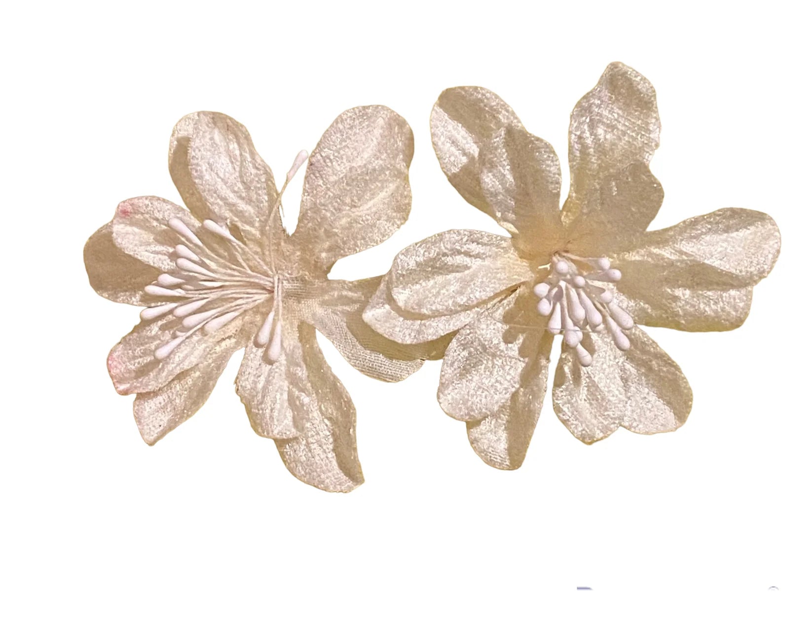 Pendientes Acrílicos