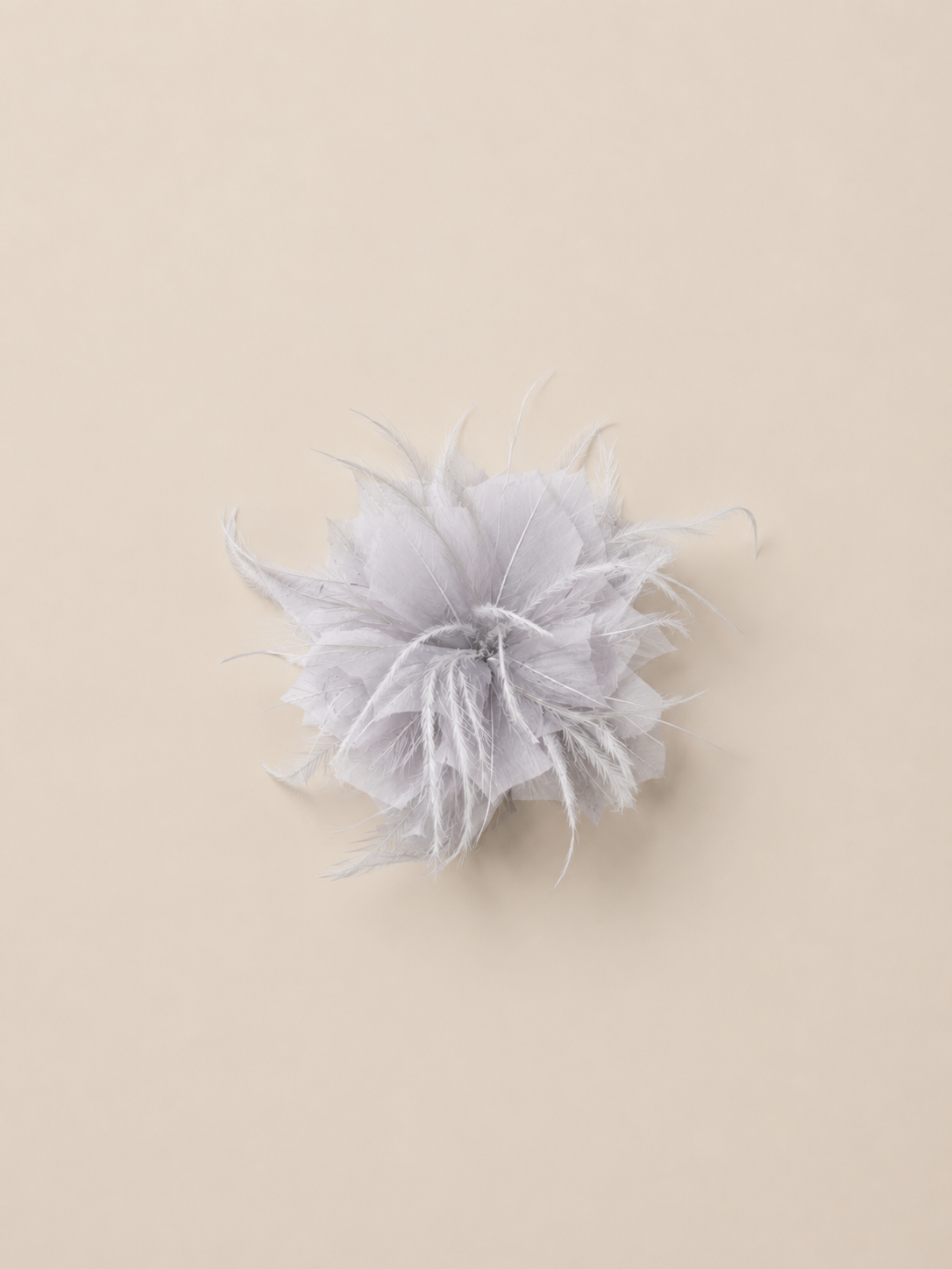 Gray feather flower