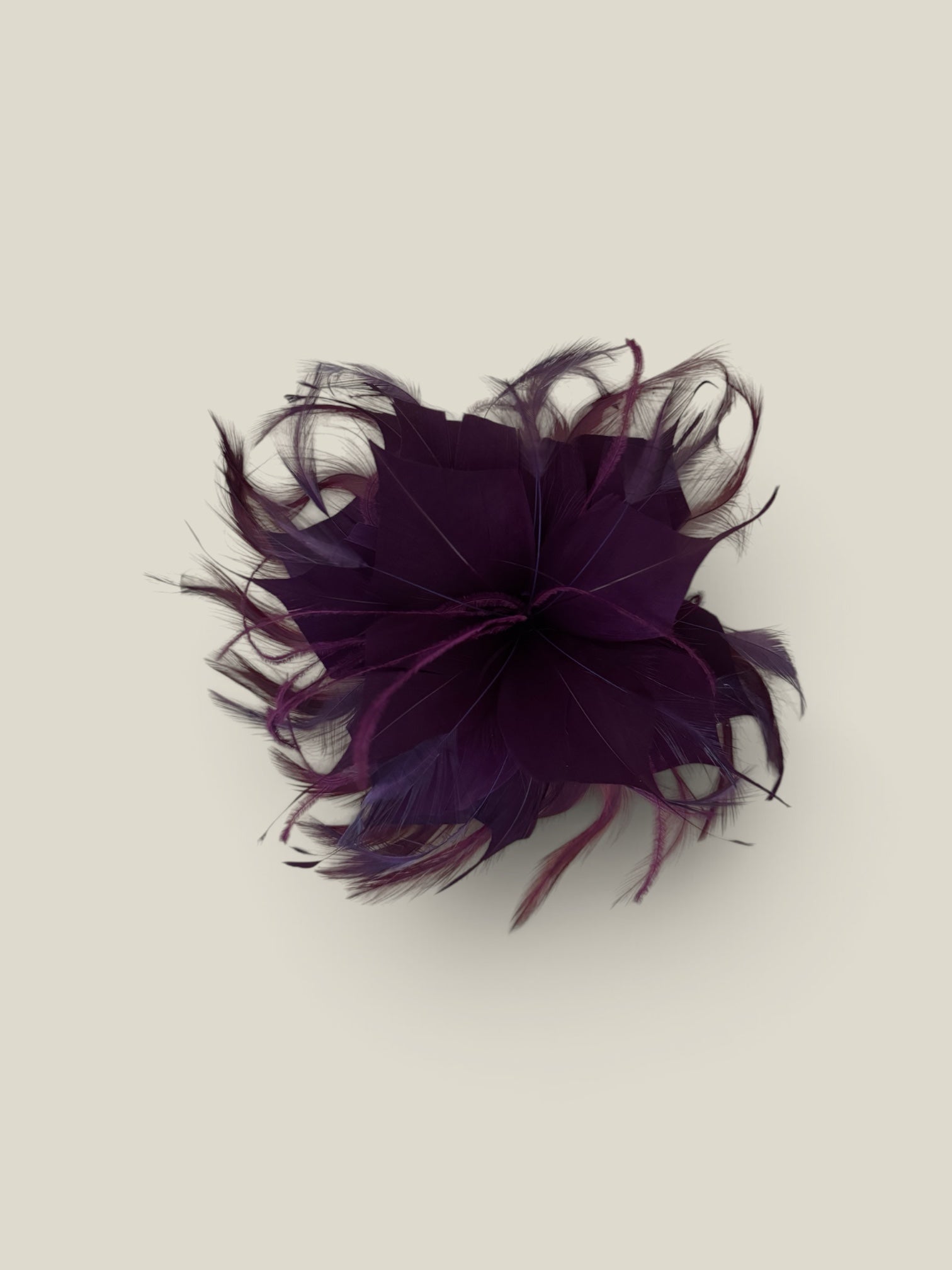 Flor plumas berenjena