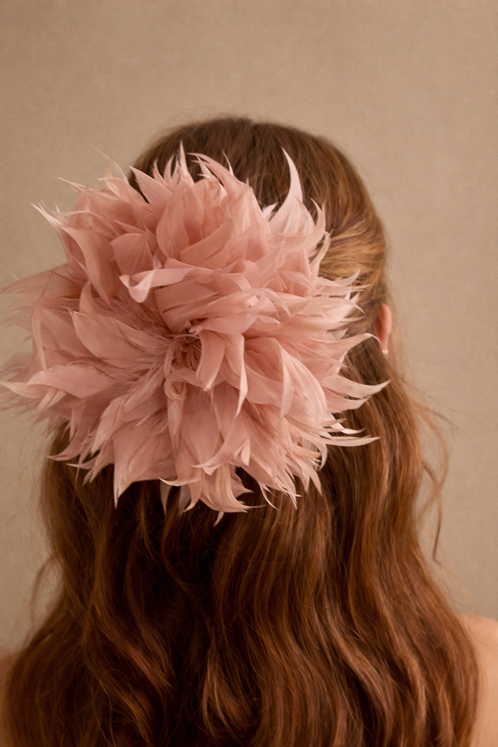 Pink Poinsettia