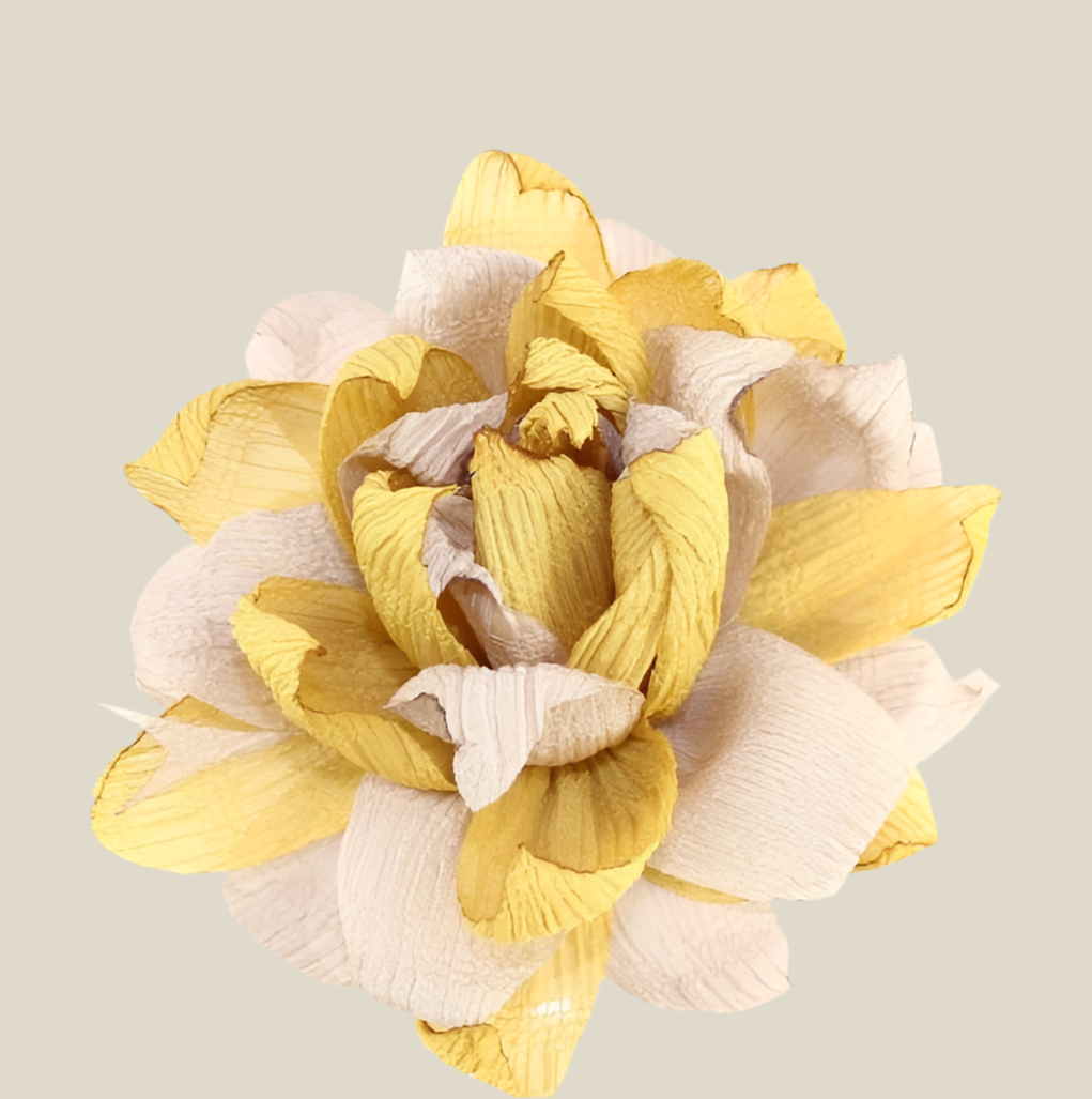 Flor Nenúfar mostaza