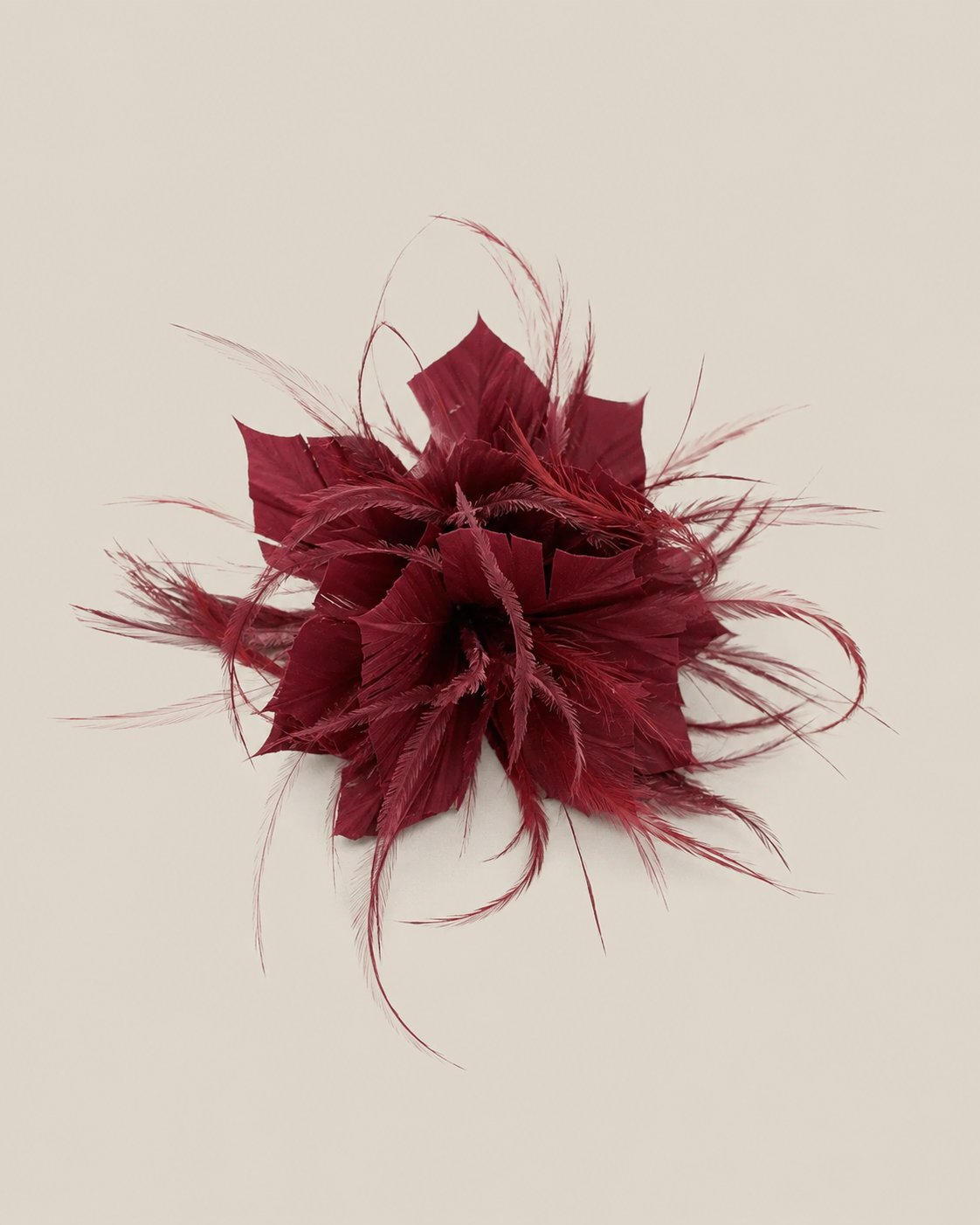 Flower feathers wine