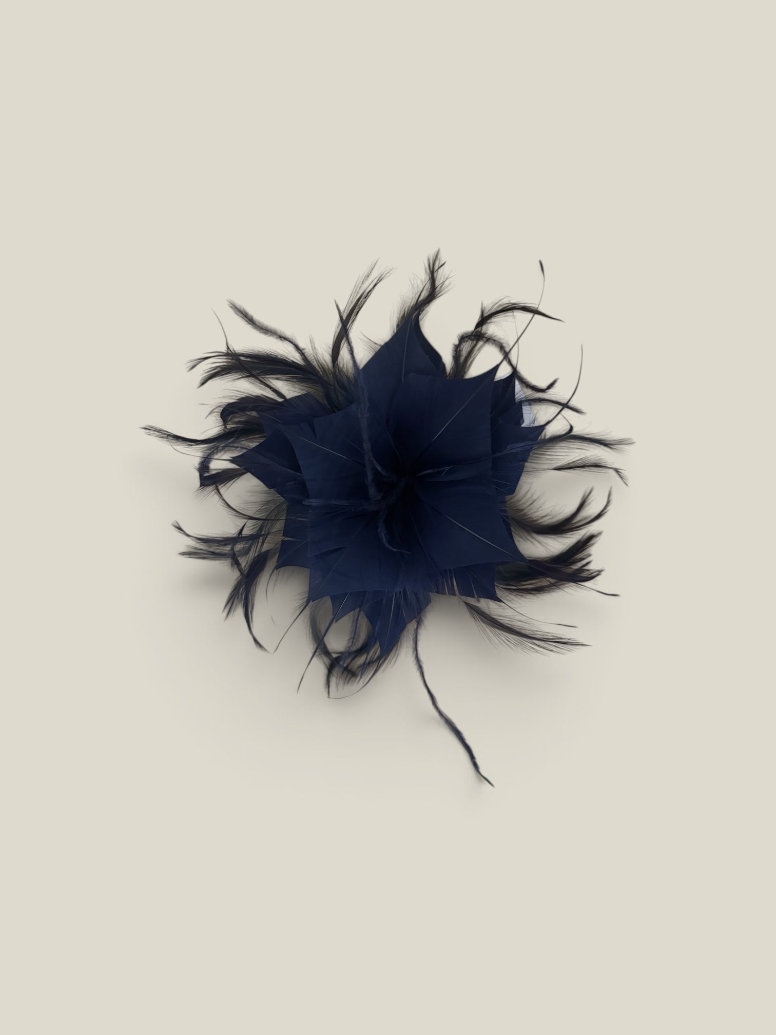 Flor plumas marino