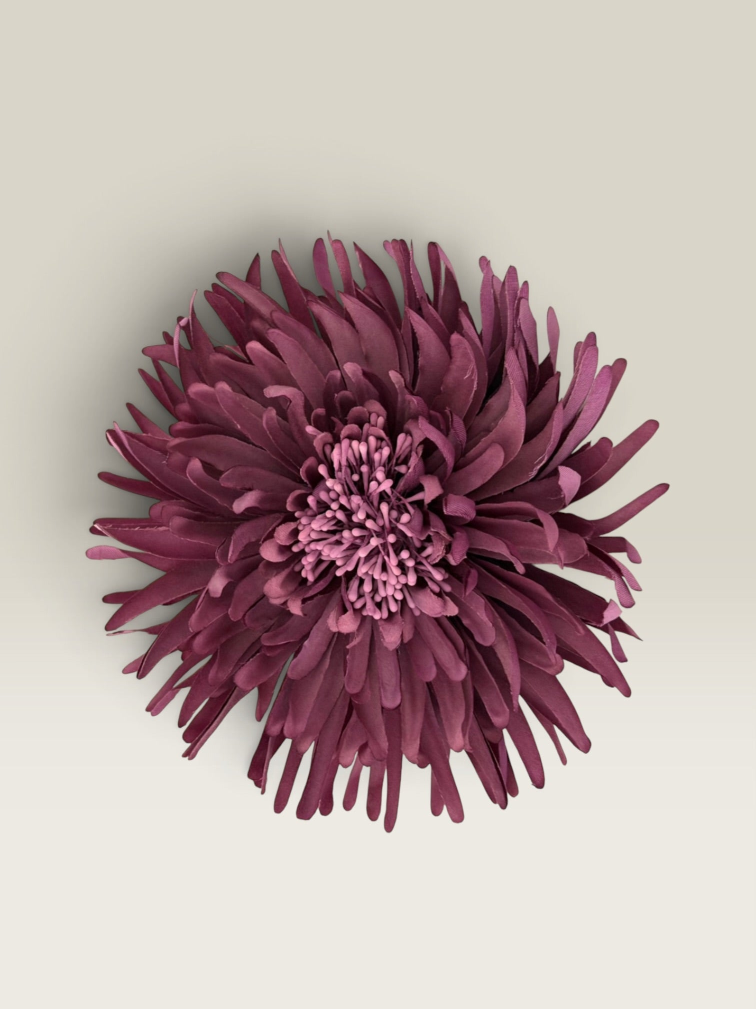 Flor Loto ciruela