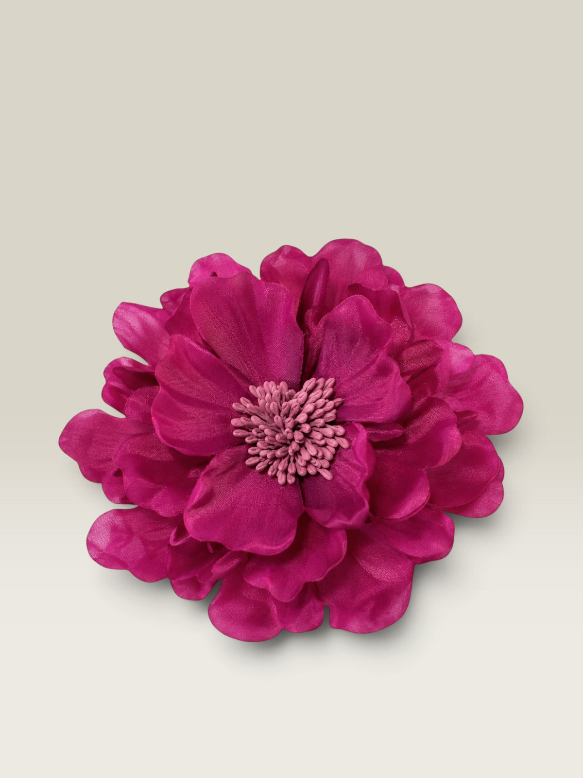 Flor Victoria buganvilla