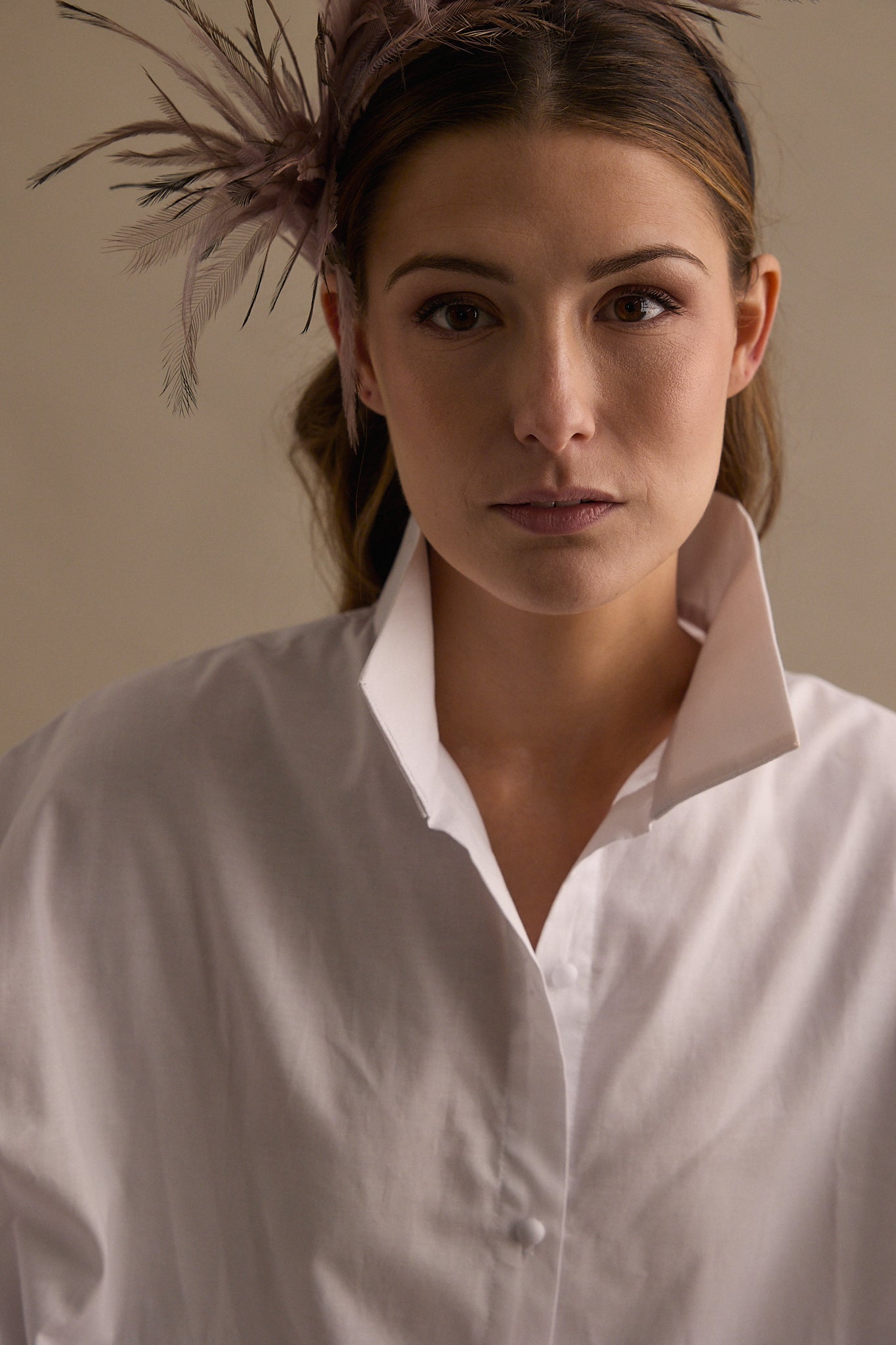 Diadema Grulla de colores