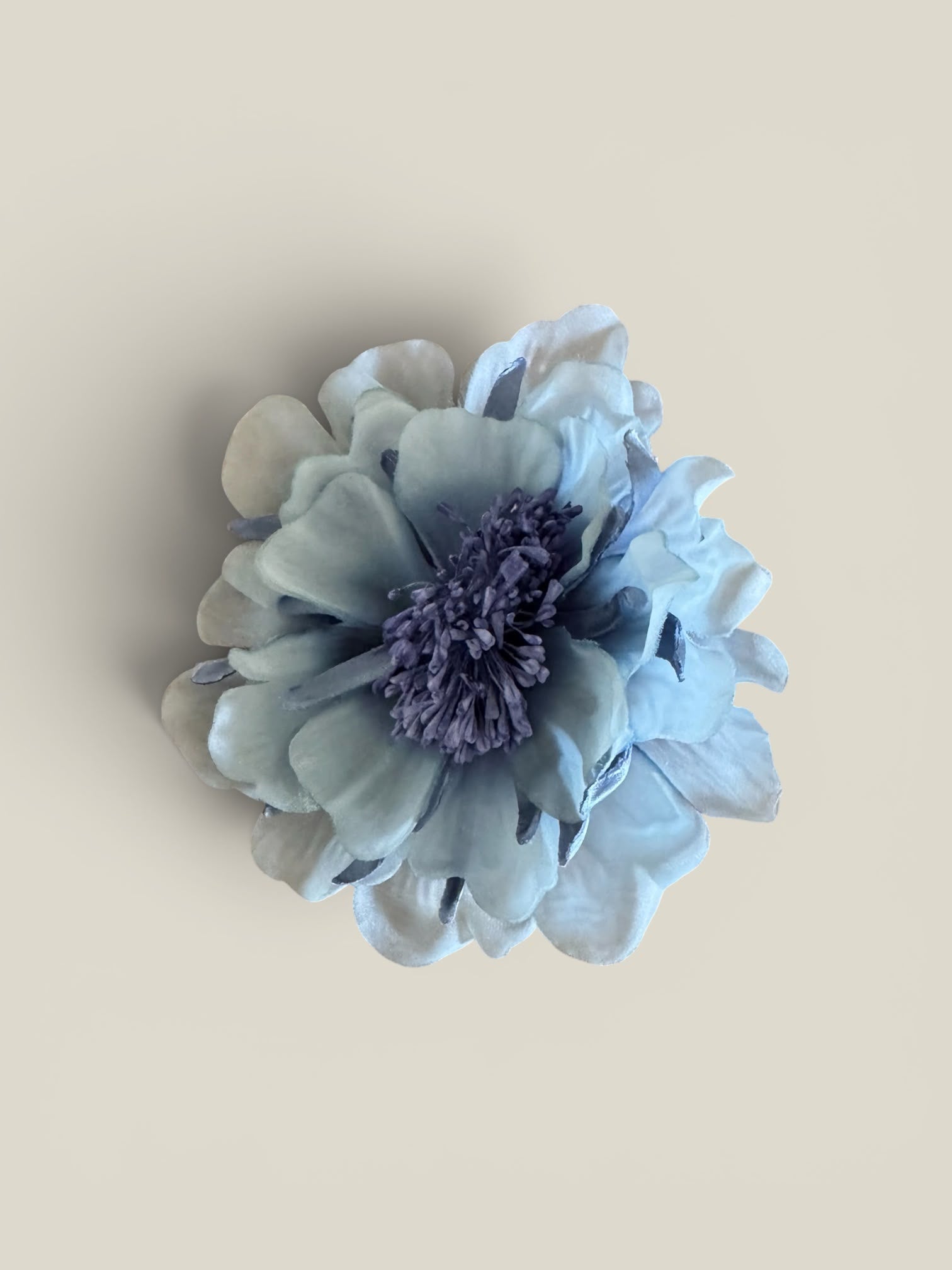 Flor Victoria azul bebé
