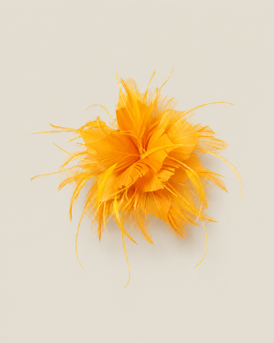 Mustard feather flower
