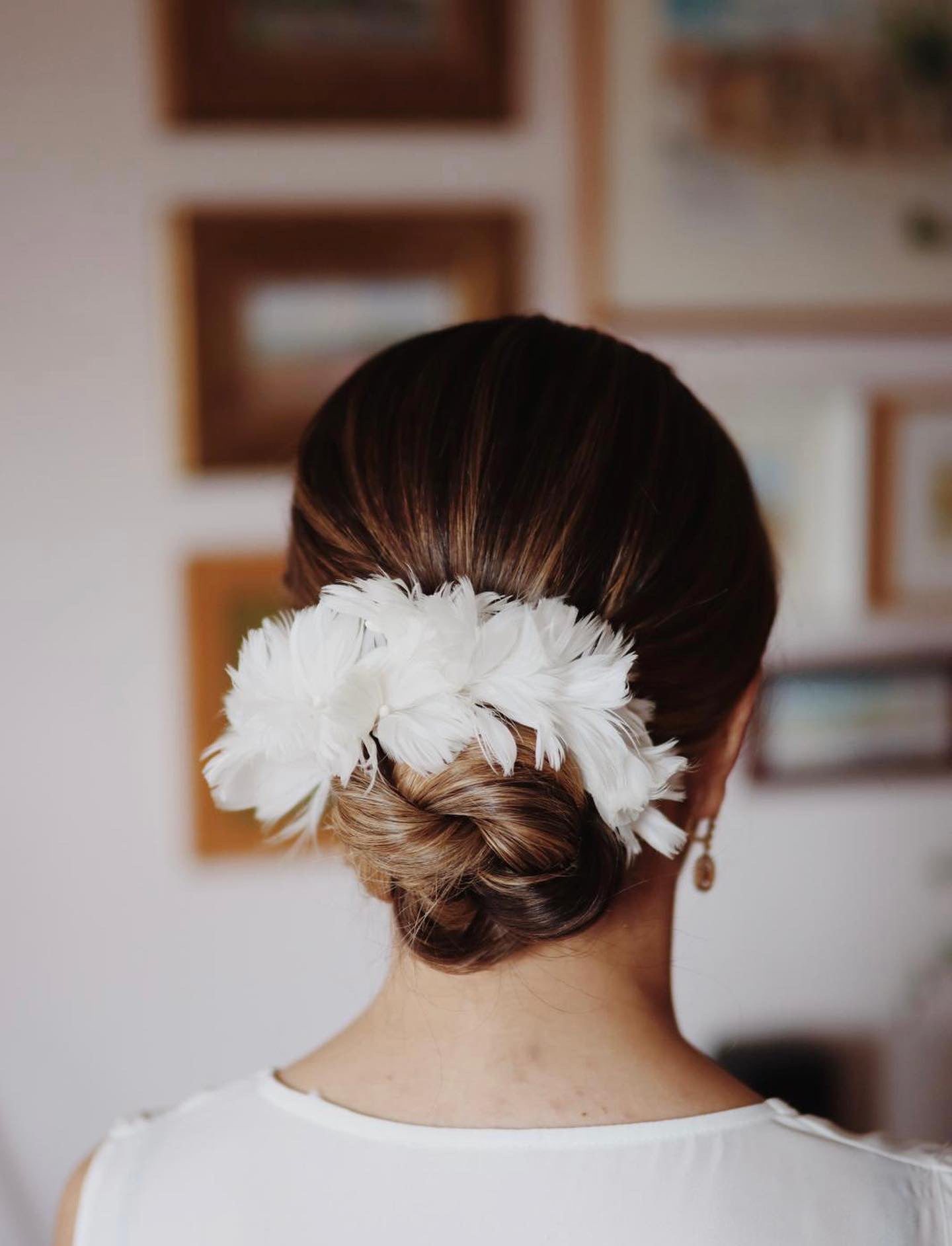 Adornos para recogidos