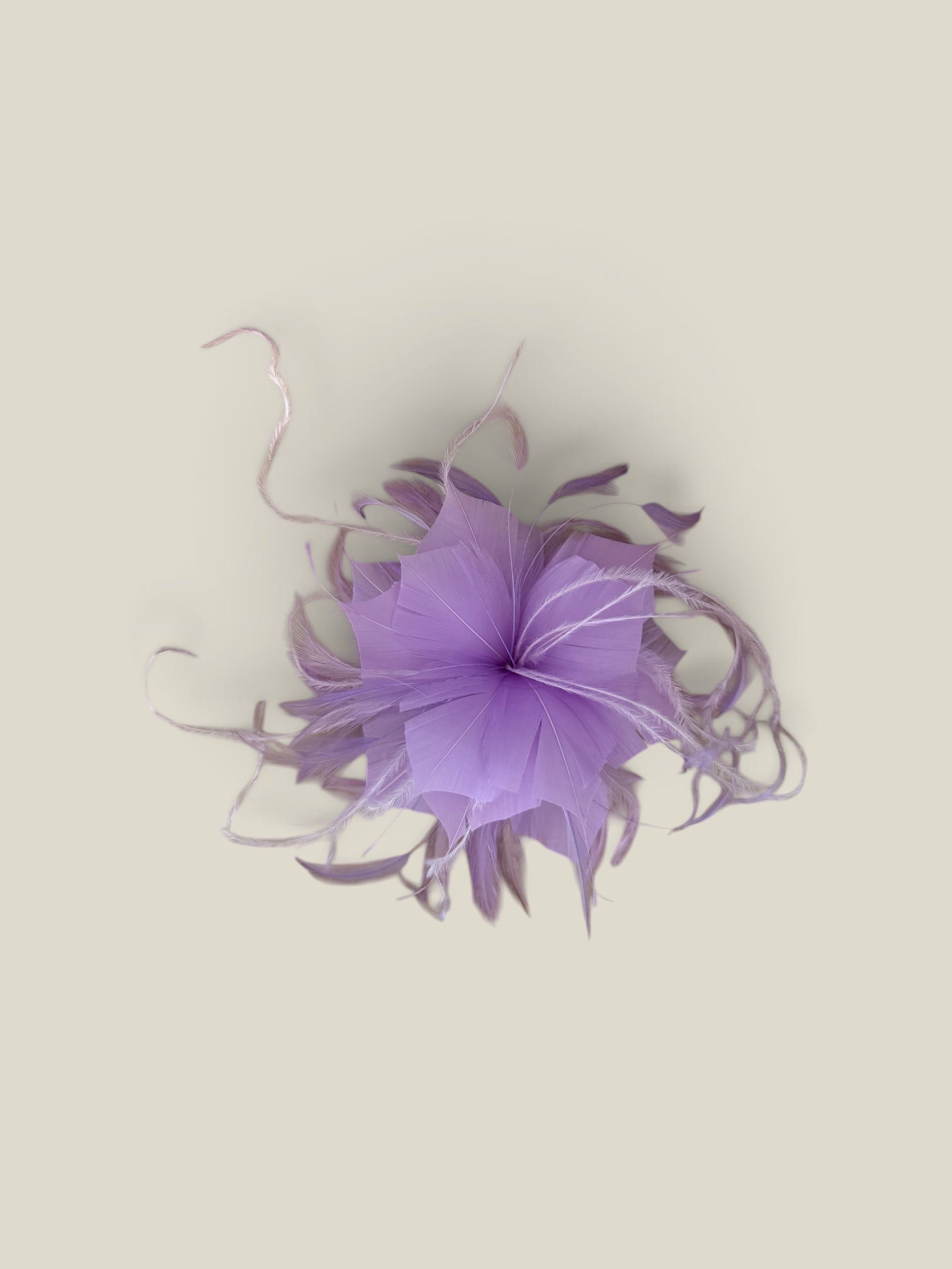 Flor plumas lila
