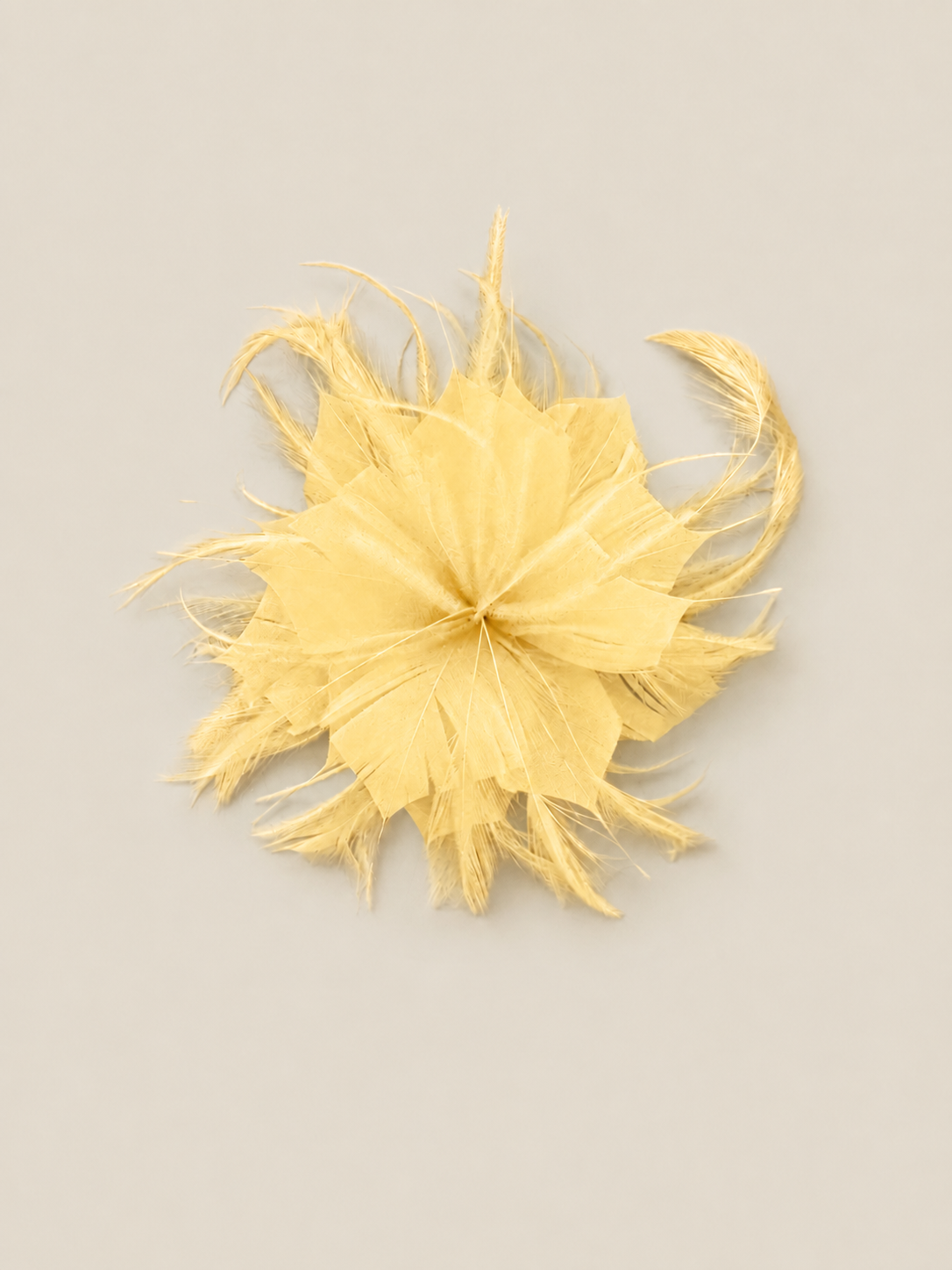 Flor plumas mantequilla