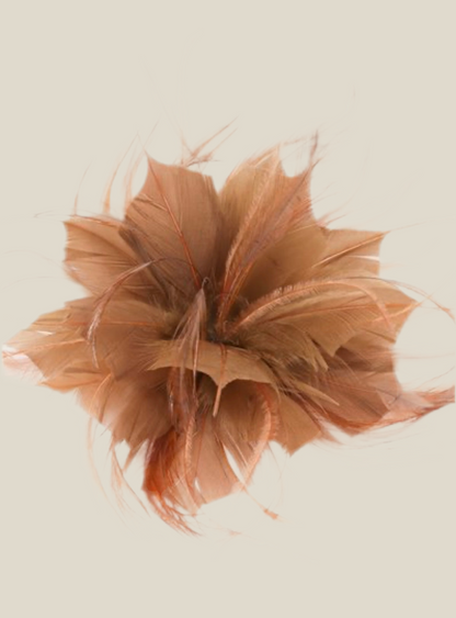 Flor plumas marrón