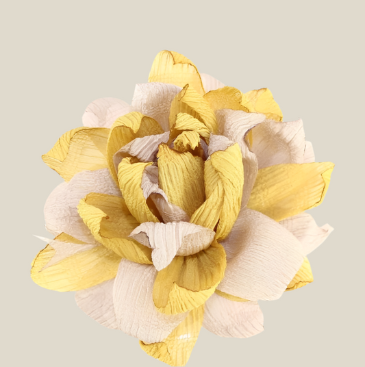 Flor Nenúfar mostaza