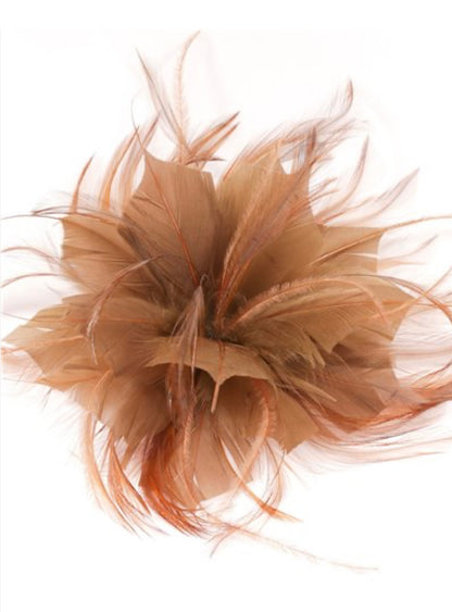 Brown feather flower