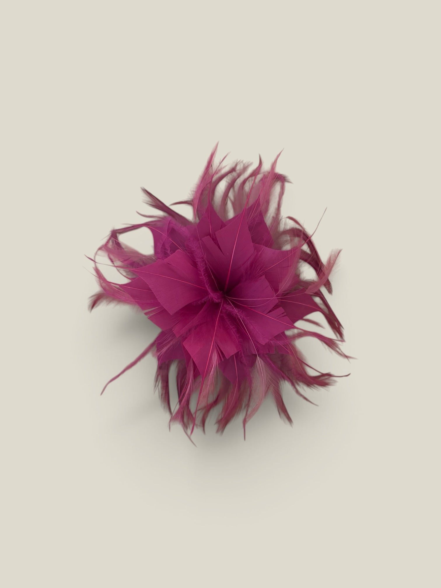 Flor plumas frambuesa