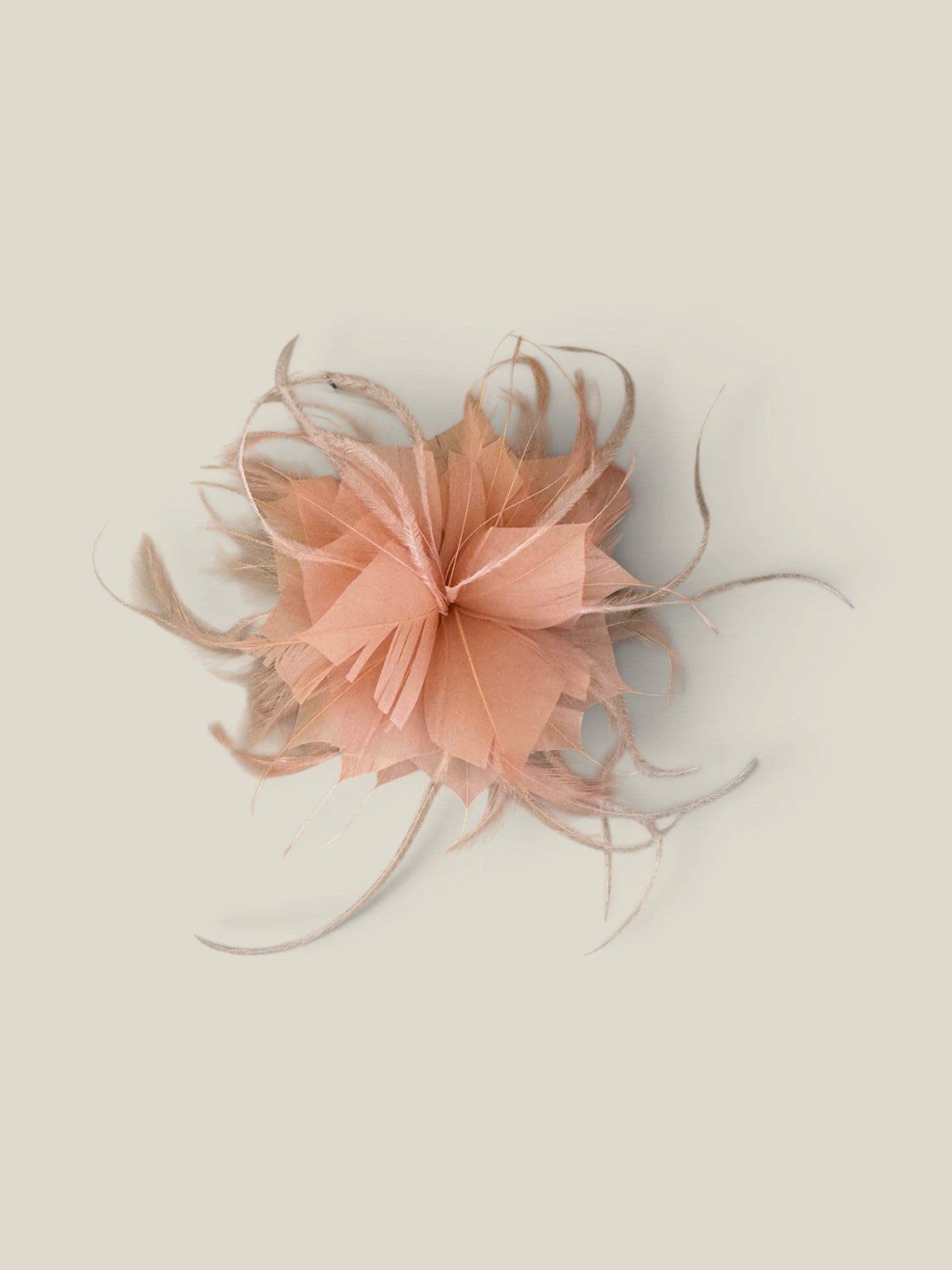 Flor plumas salmón