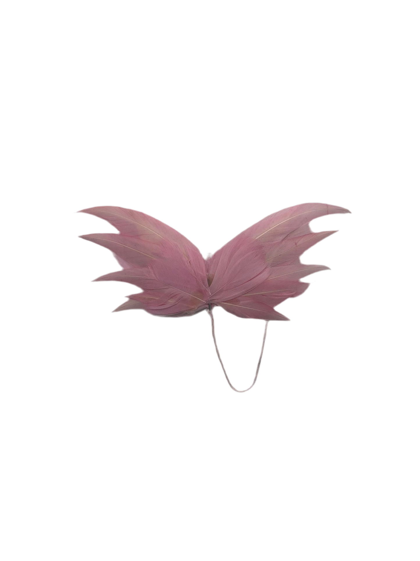 Pink wings