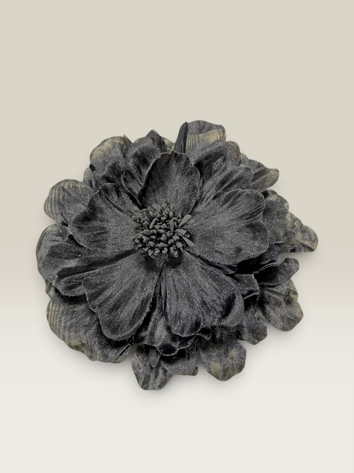 Flor Victoria negra