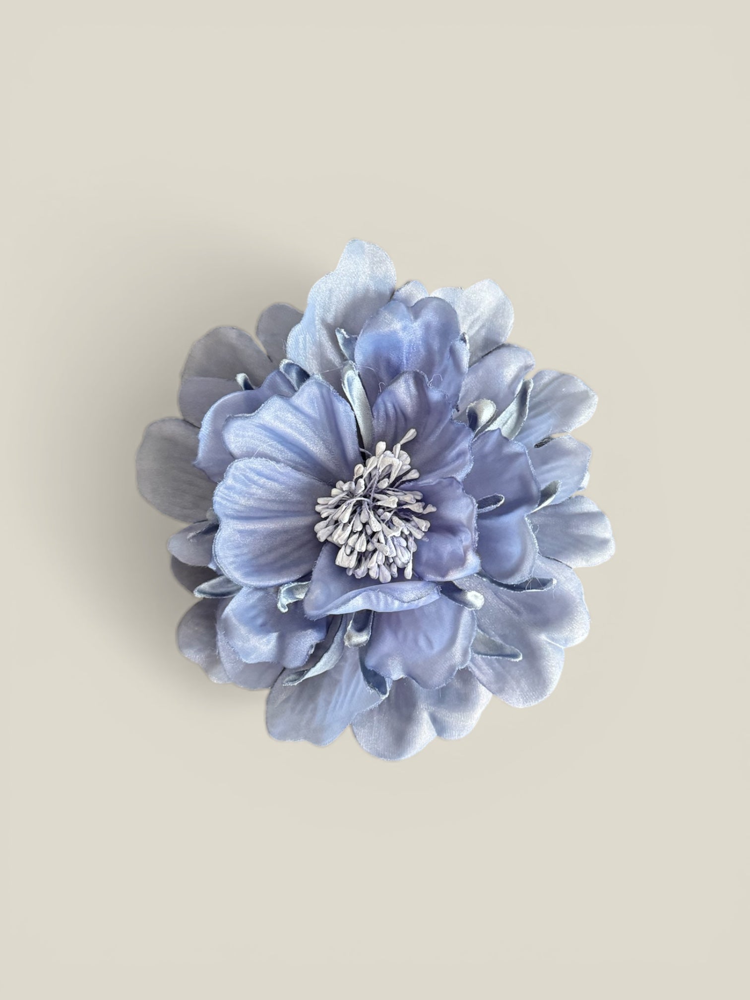 Flor Carn azul bebé