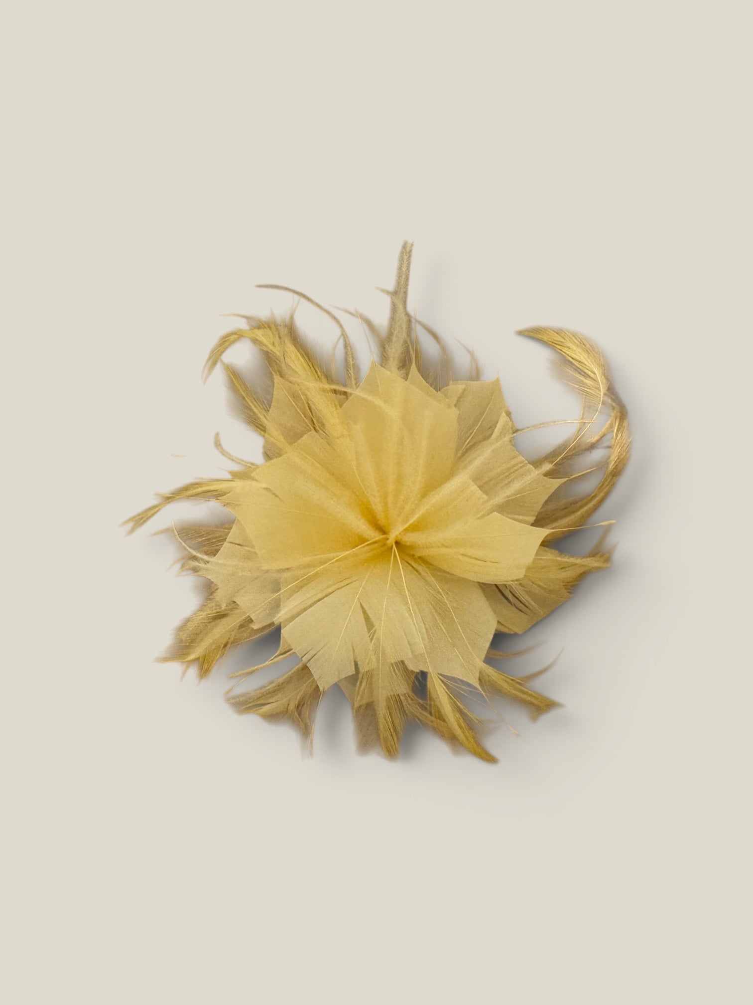 Flor plumas mantequilla