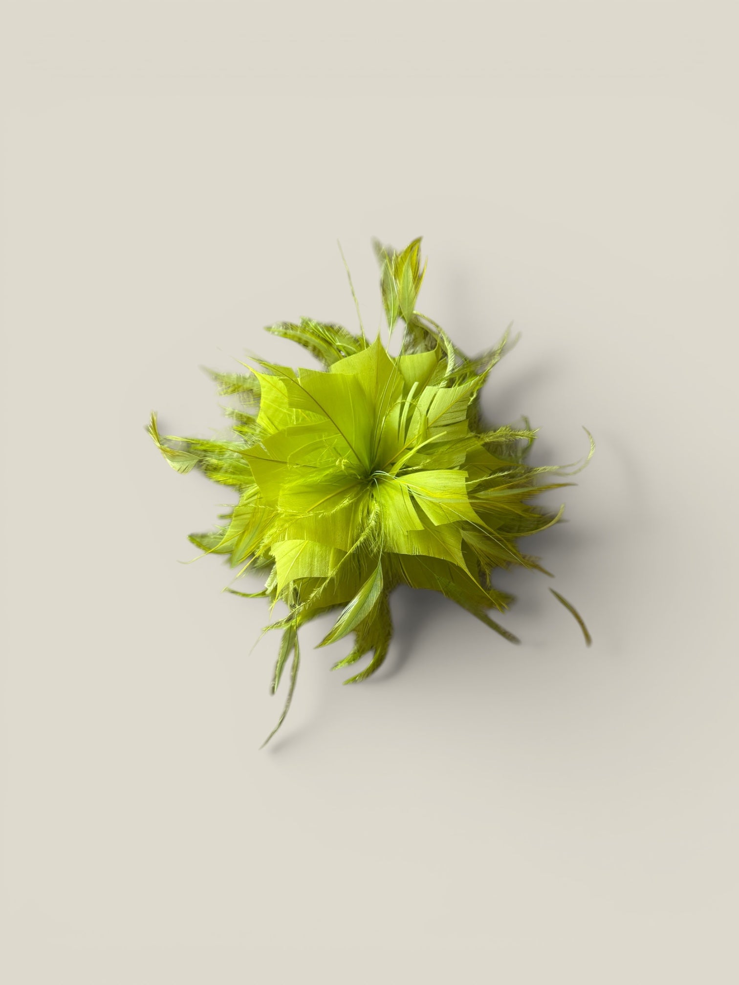 Lime feather flower