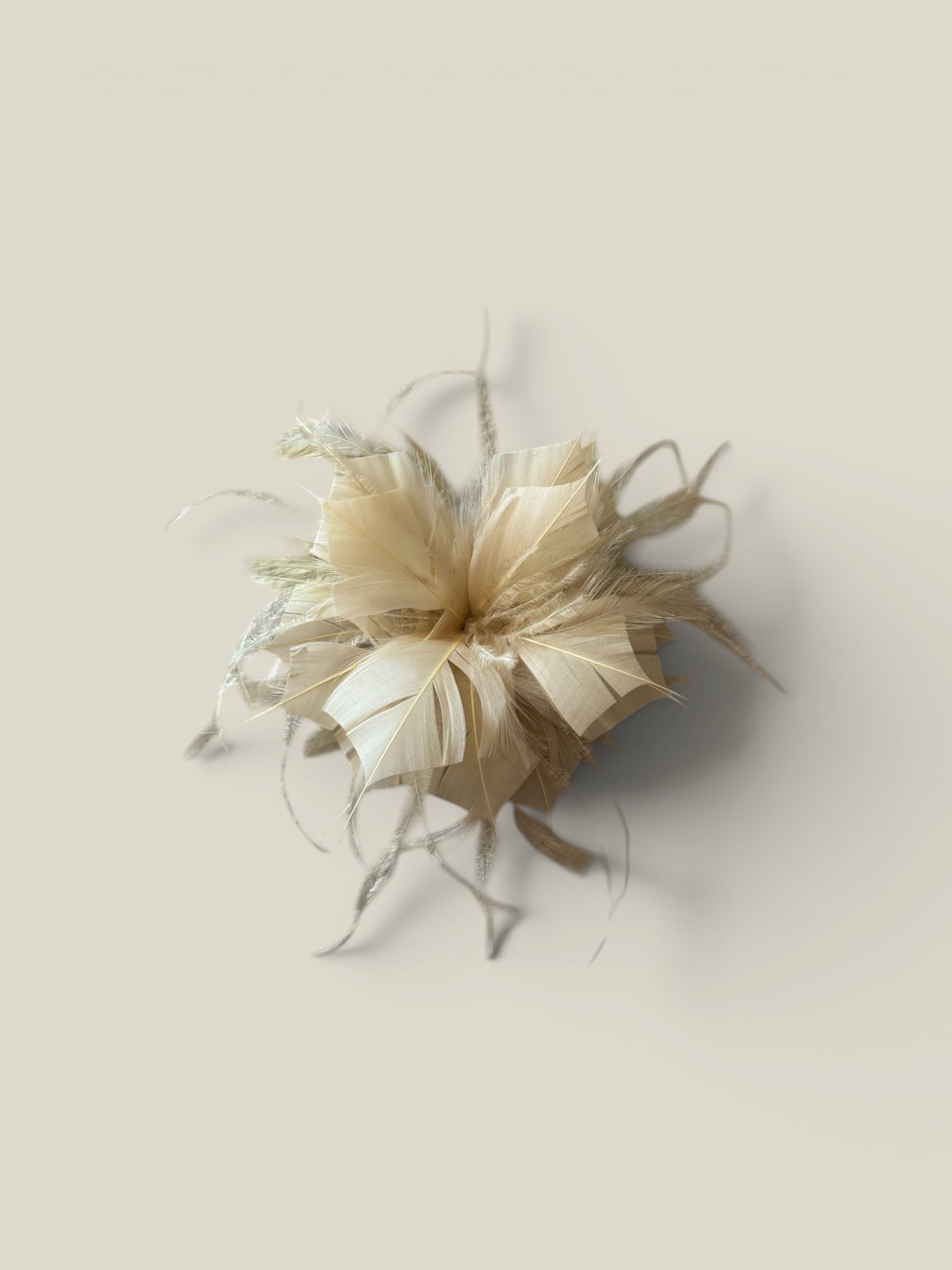 Flor plumas beige