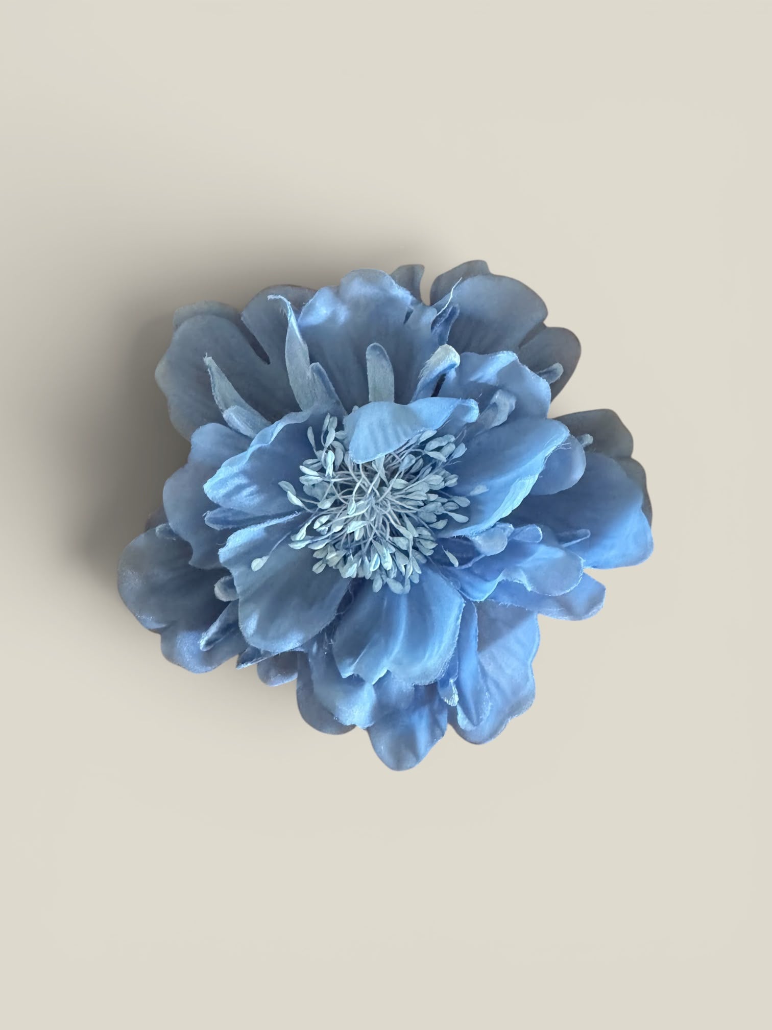 Flor Victoria azul
