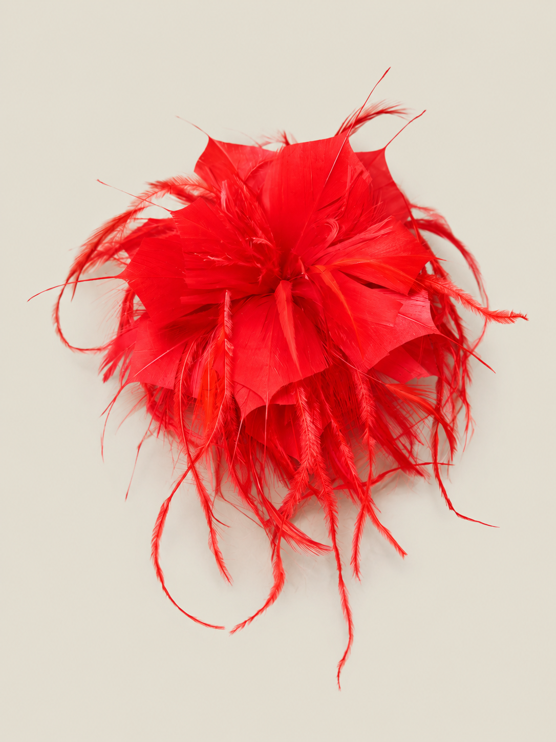 Red feather flower