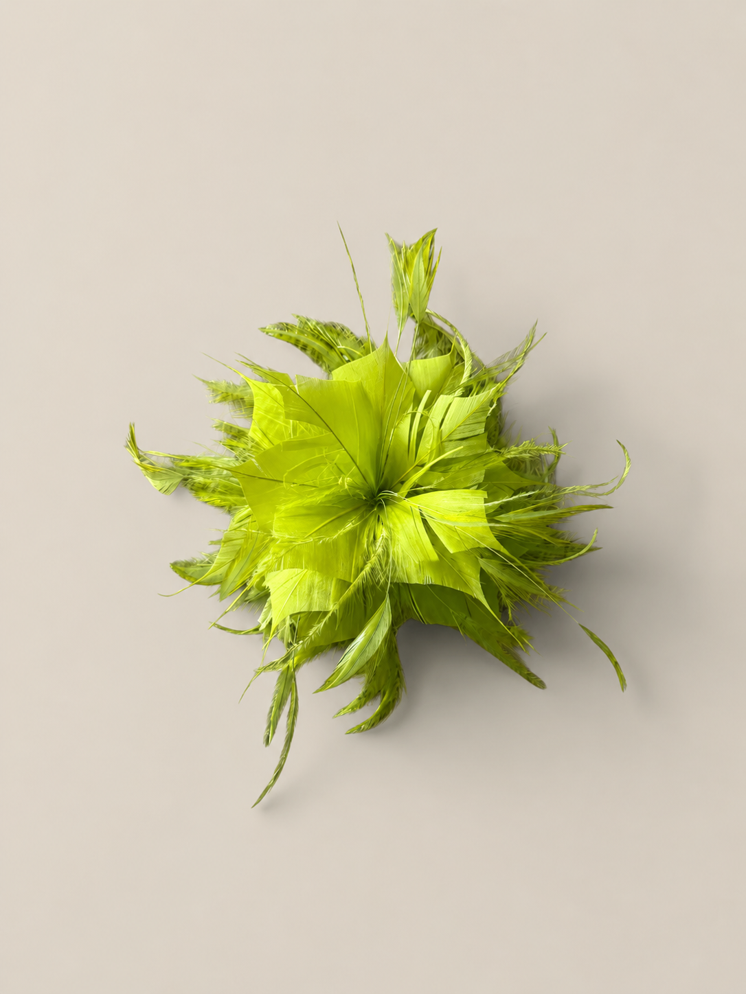 Lime feather flower