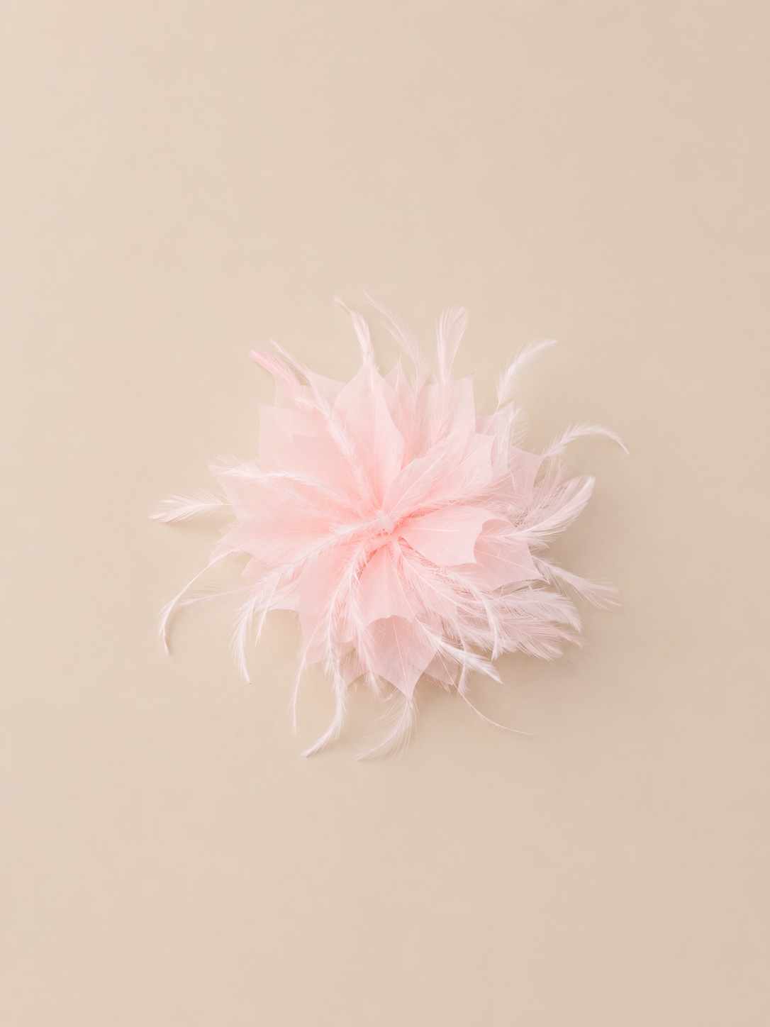 Pink feather flower